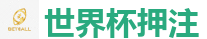 2026世界杯 (FIFA WorldCUP)中国下注指定网站